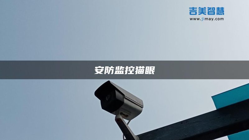 别墅安防系统工程：价格背后的考量因素**